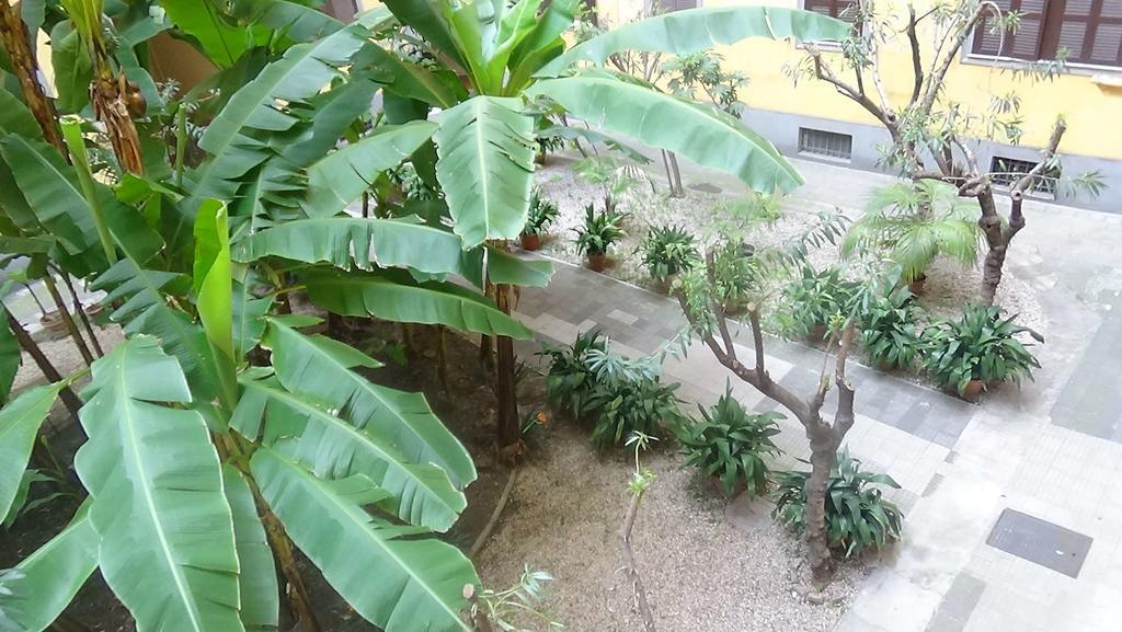 Bed And Breakfast Adduci'S House Рим Екстер'єр фото