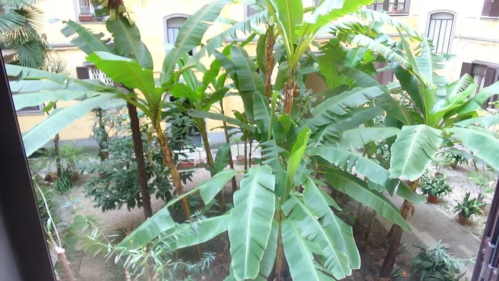 Bed And Breakfast Adduci'S House Рим Екстер'єр фото